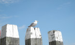 An der Nordsee